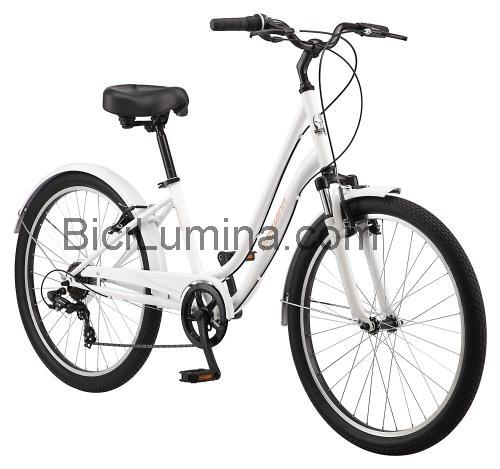 Schwinn Regioneer opinión y ficha técnica